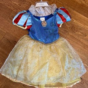 Snow White Deluxe Disney Costume